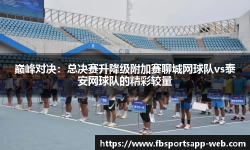 巅峰对决：总决赛升降级附加赛聊城网球队vs泰安网球队的精彩较量